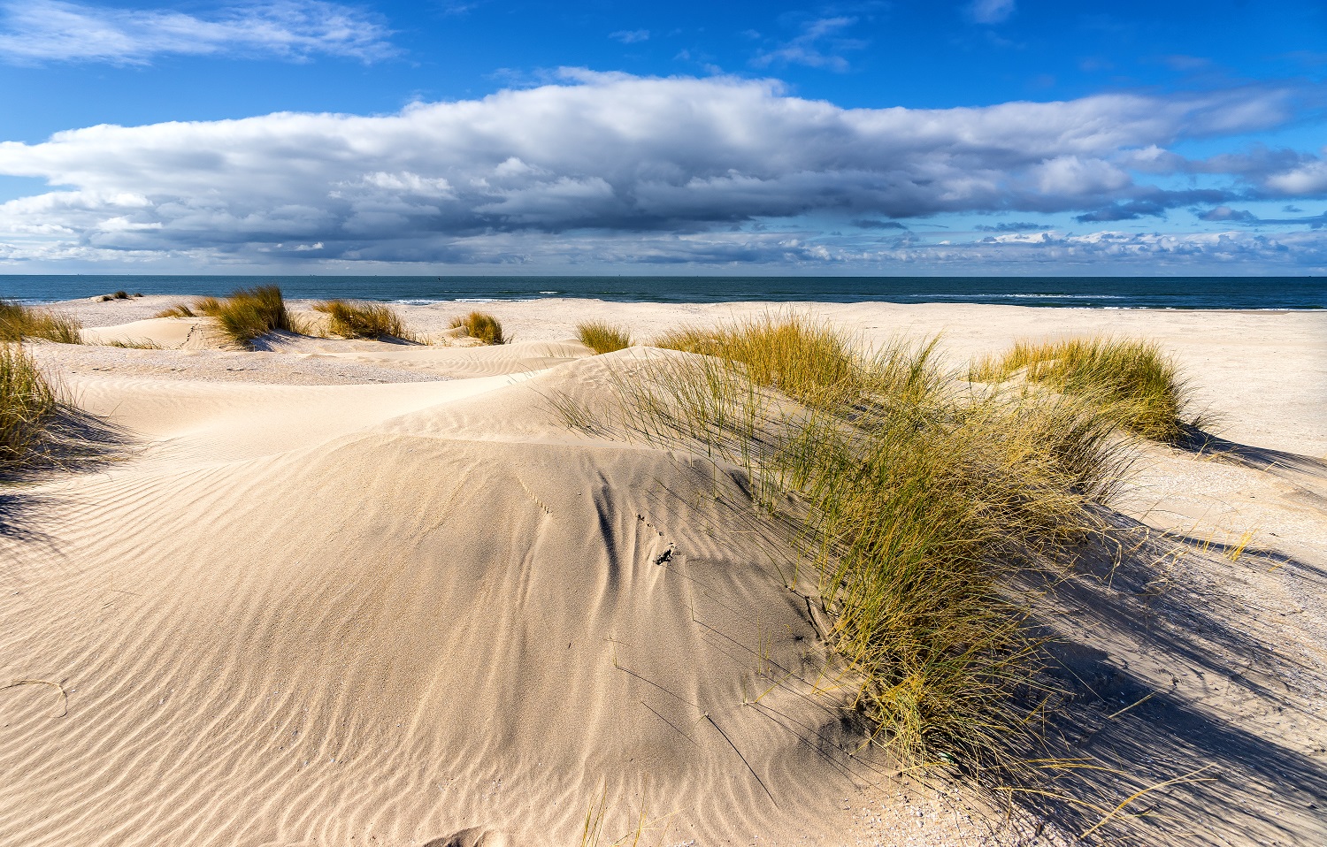 Sand Dunes
